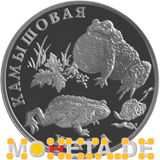 1 Rubel Kreuzkröte
