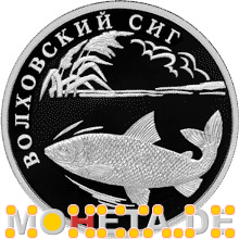 1 Rubel Weißfisch