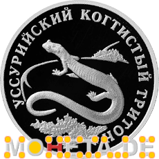1 Rubel Krallen-Salamander