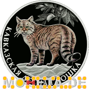 2 Rubel Kaukasische Wildkatze